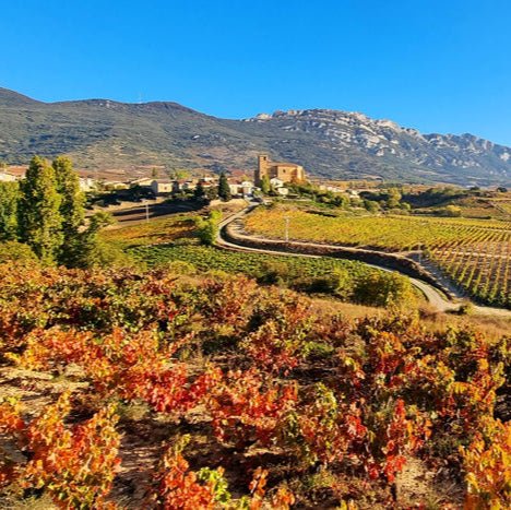 Smart Traveller's Wine Guides: Rioja - Ouverture London