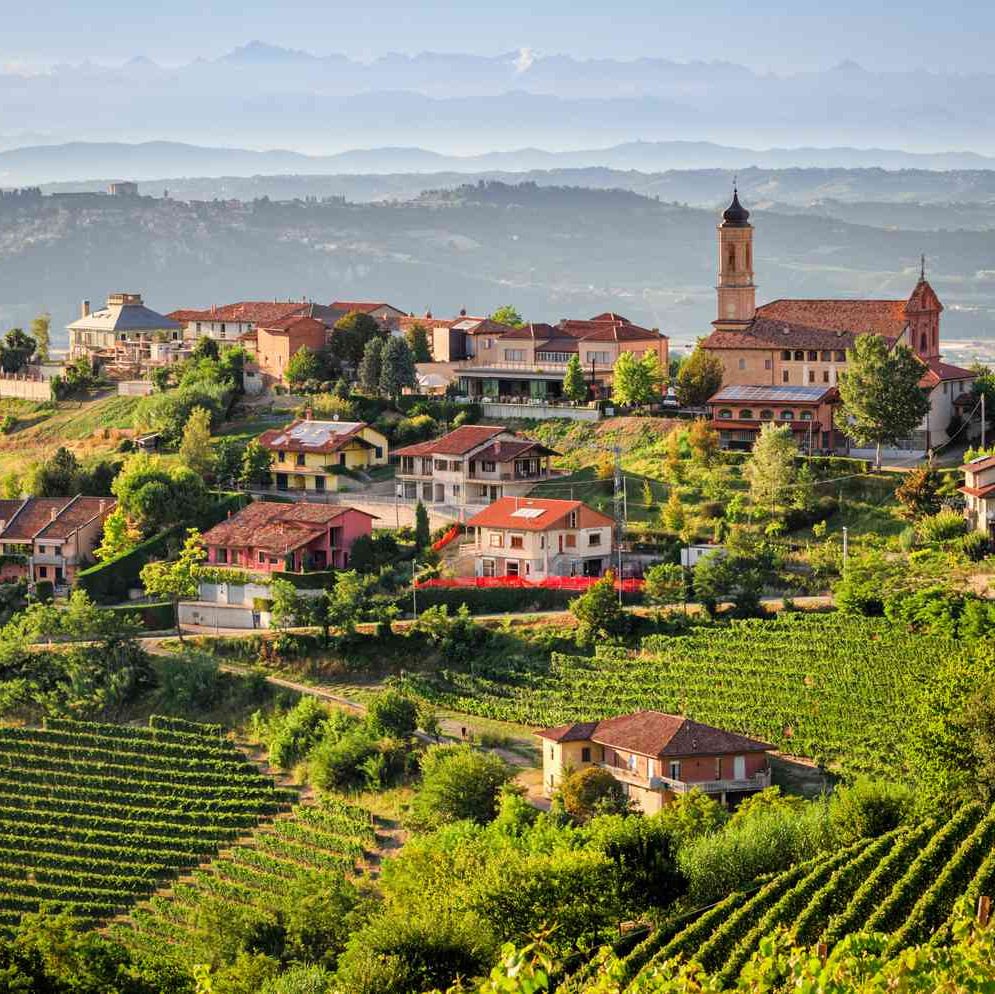 Wines of Piemonte by David Way - Ouverture London