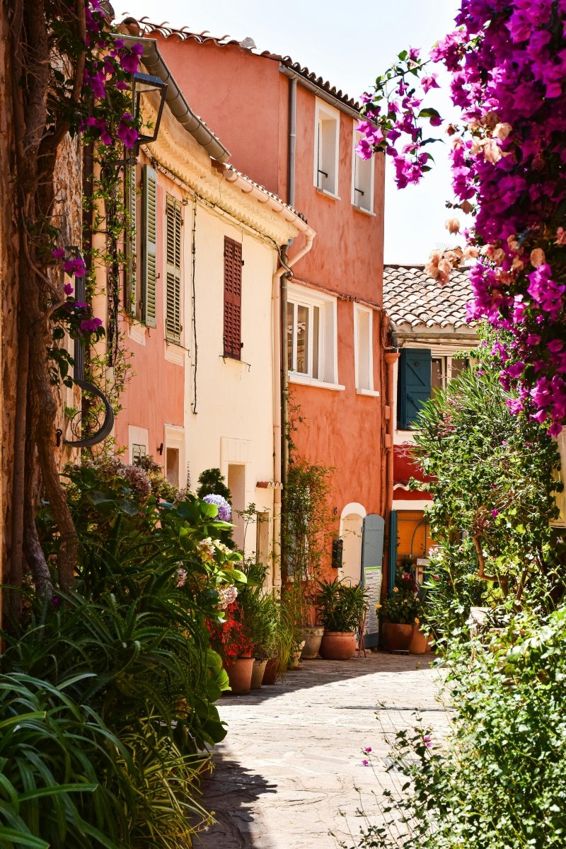 Evoking Côtes de Provence - citrus, fruity, fresh - Ouverture London