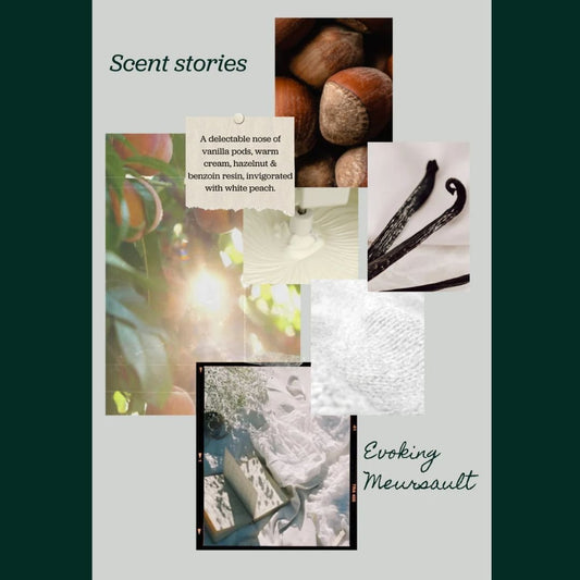 FREE Wax Melt Sample - Evoking Meursault - Ouverture London