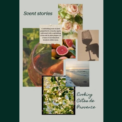 PRE ORDER : Evoking Côtes de Provence - Ouverture London