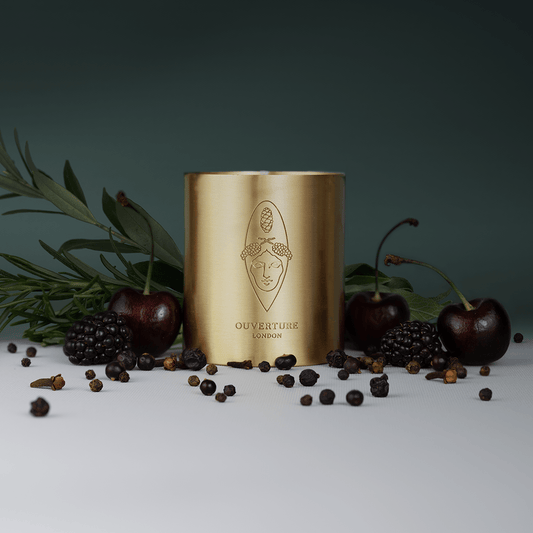 PRE ORDER : Evoking Hermitage - Ouverture London